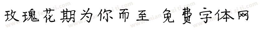 玫瑰花期为你而至字体转换