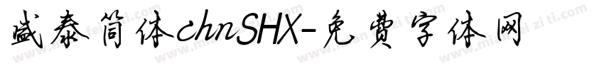 盛泰简体chnSHX字体转换