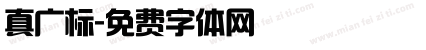 真广标字体转换