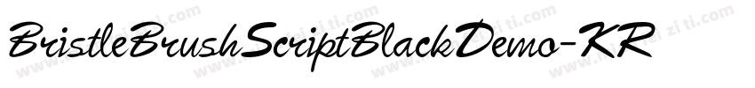 BristleBrushScriptBlackDemo-KRRX字体转换