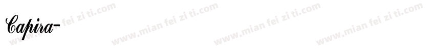 Capira字体转换