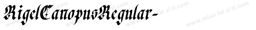 RigelCanopusRegular字体转换