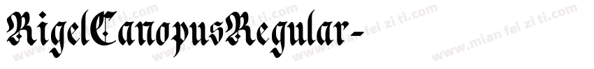 RigelCanopusRegular字体转换
