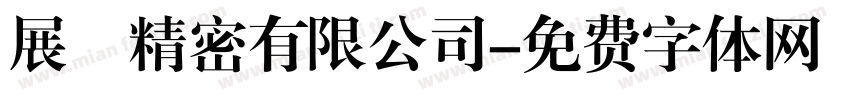 展碁精密有限公司字体转换