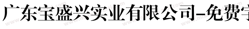广东宝盛兴实业有限公司字体转换