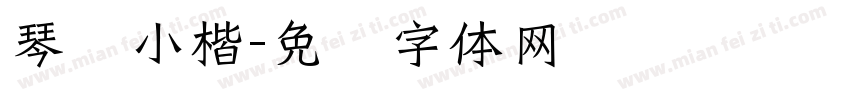 琴赋小楷字体转换