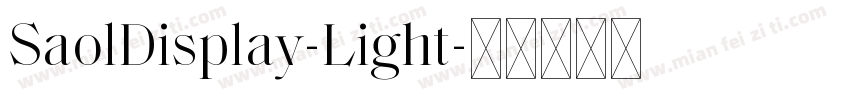 SaolDisplay-Light字体转换