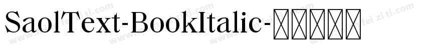 SaolText-BookItalic字体转换