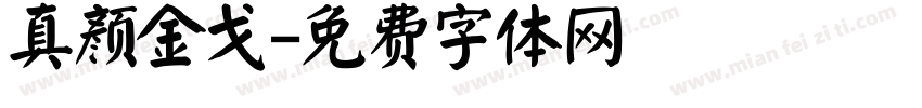 真颜金戈字体转换