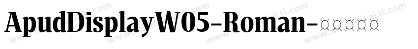 ApudDisplayW05-Roman字体转换