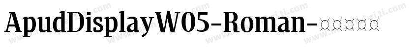 ApudDisplayW05-Roman字体转换