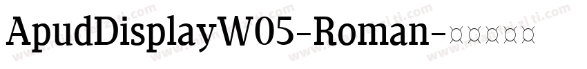 ApudDisplayW05-Roman字体转换