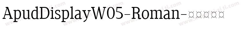 ApudDisplayW05-Roman字体转换
