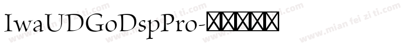 IwaUDGoDspPro字体转换