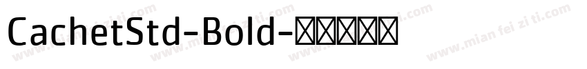 CachetStd-Bold字体转换