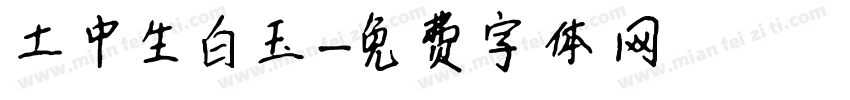 土中生白玉字体转换