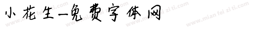 小花生字体转换