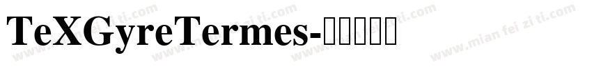 TeXGyreTermes字体转换