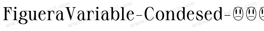 FigueraVariable-Condesed字体转换