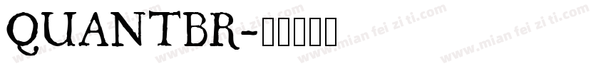 QUANTBR字体转换