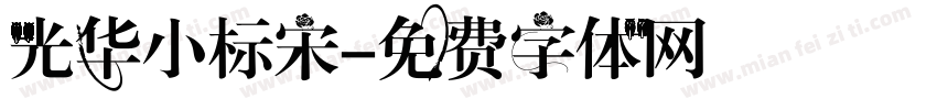 光华小标宋字体转换