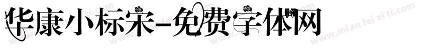 华康小标宋字体转换