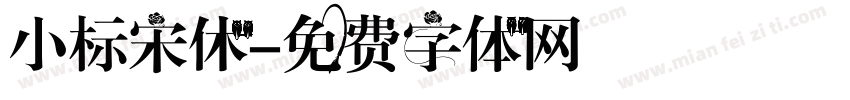小标宋休字体转换