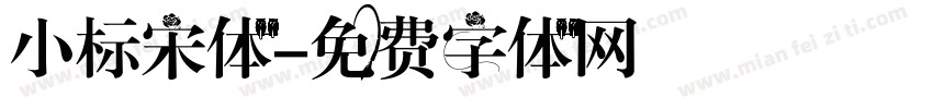小标宋体字体转换