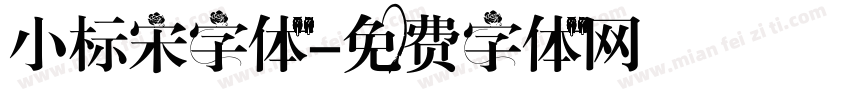 小标宋字体字体转换