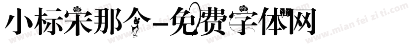 小标宋那个字体转换