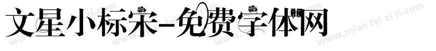 文星小标宋字体转换