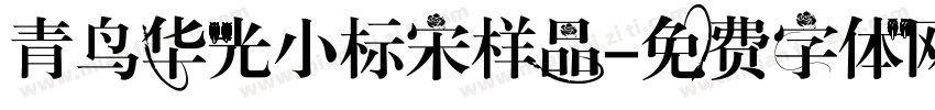 青鸟华光小标宋样品字体转换