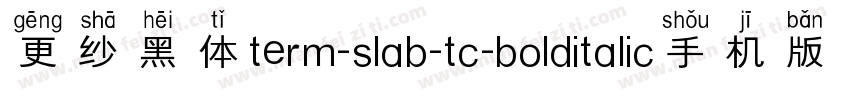 更纱黑体term-slab-tc-bolditalic手机版字体转换
