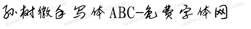 孙树徽手写体ABC字体转换