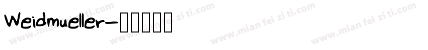 Weidmueller字体转换