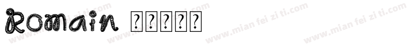 Romain字体转换