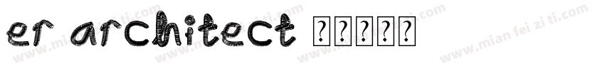 er-architect字体转换