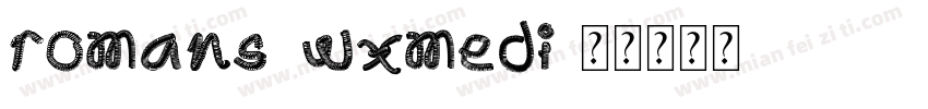 romans_wxmedi字体转换