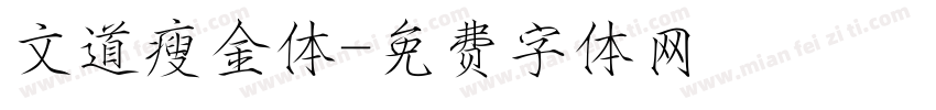 文道瘦金体字体转换