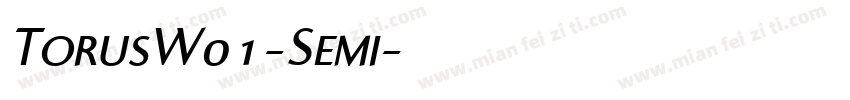 TorusW01-Semi字体转换