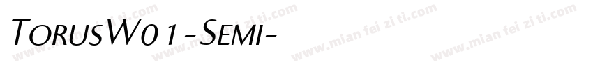 TorusW01-Semi字体转换