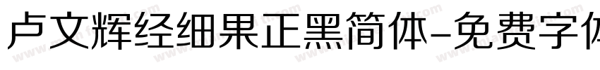 卢文辉经细果正黑简体字体转换