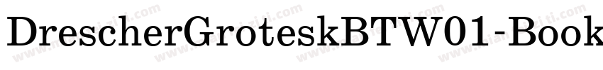 DrescherGroteskBTW01-Book字体转换