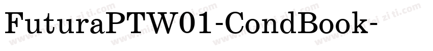 FuturaPTW01-CondBook字体转换