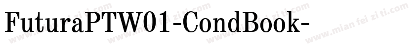 FuturaPTW01-CondBook字体转换