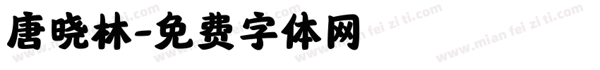 唐晓林字体转换