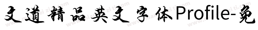 文道精品英文字体Profile字体转换