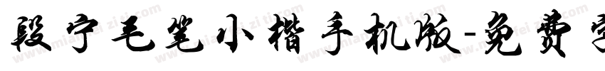 段宁毛笔小楷手机版字体转换