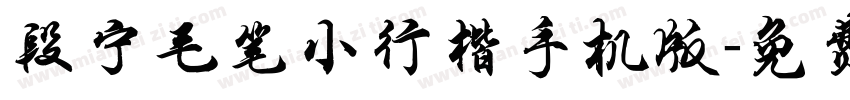 段宁毛笔小行楷手机版字体转换