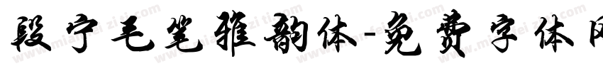 段宁毛笔雅韵体字体转换